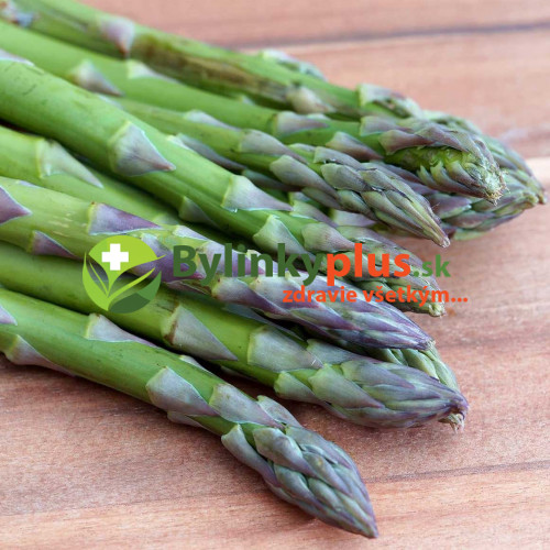 Špargľa, asparagus lekársky, - (Asparagus officinalis L.)