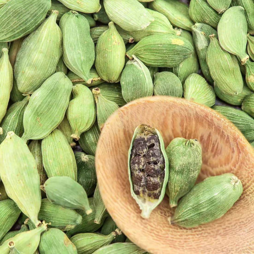 Kardamón obyčajný, Kardamom ( Elettaria Cardamomum L.) /rastlinky, bylinky v kvetináči