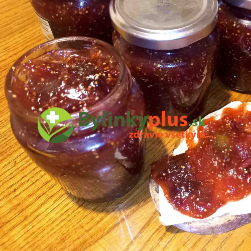 Figovník obyčajný – Brown Turkey (Ficus carica, Brown turkey)
