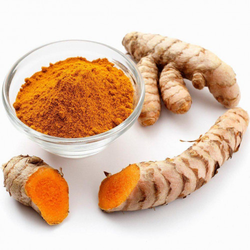 Kurkuma dlhá-(Curcuma longa L.)