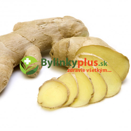 Mäta zázvorová, mäta, ginger  (Mentha gentilis ´Ginger´ L.)  / živá rastlina, bylinka v kvetináči