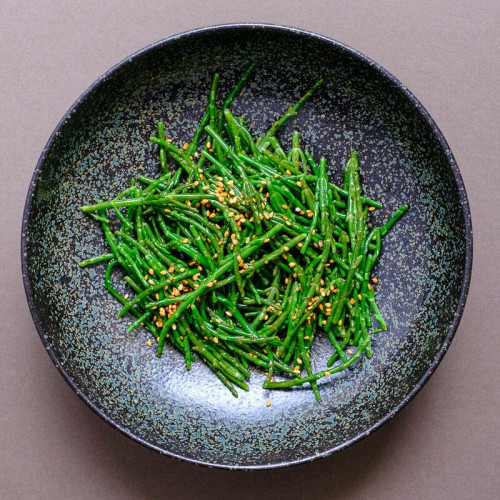 Slaná bylinka, Morská špargľa, Slanorožec európsky (Salicornia Europaea, Arthrocnemum glaucum L.)  / živá bylinka, rastlinka v kvetináči