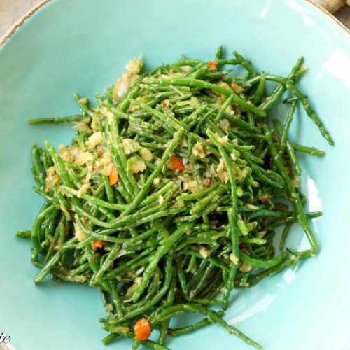 Slaná bylinka, Morská špargľa, Slanorožec európsky (Salicornia Europaea, Arthrocnemum glaucum L.)  / živá bylinka, rastlinka v kvetináči