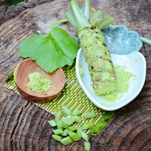 Wasabi–Pravý japonský zelený chren,(Wasabia japonica, L. alebo Eutrema japonica, L.)
